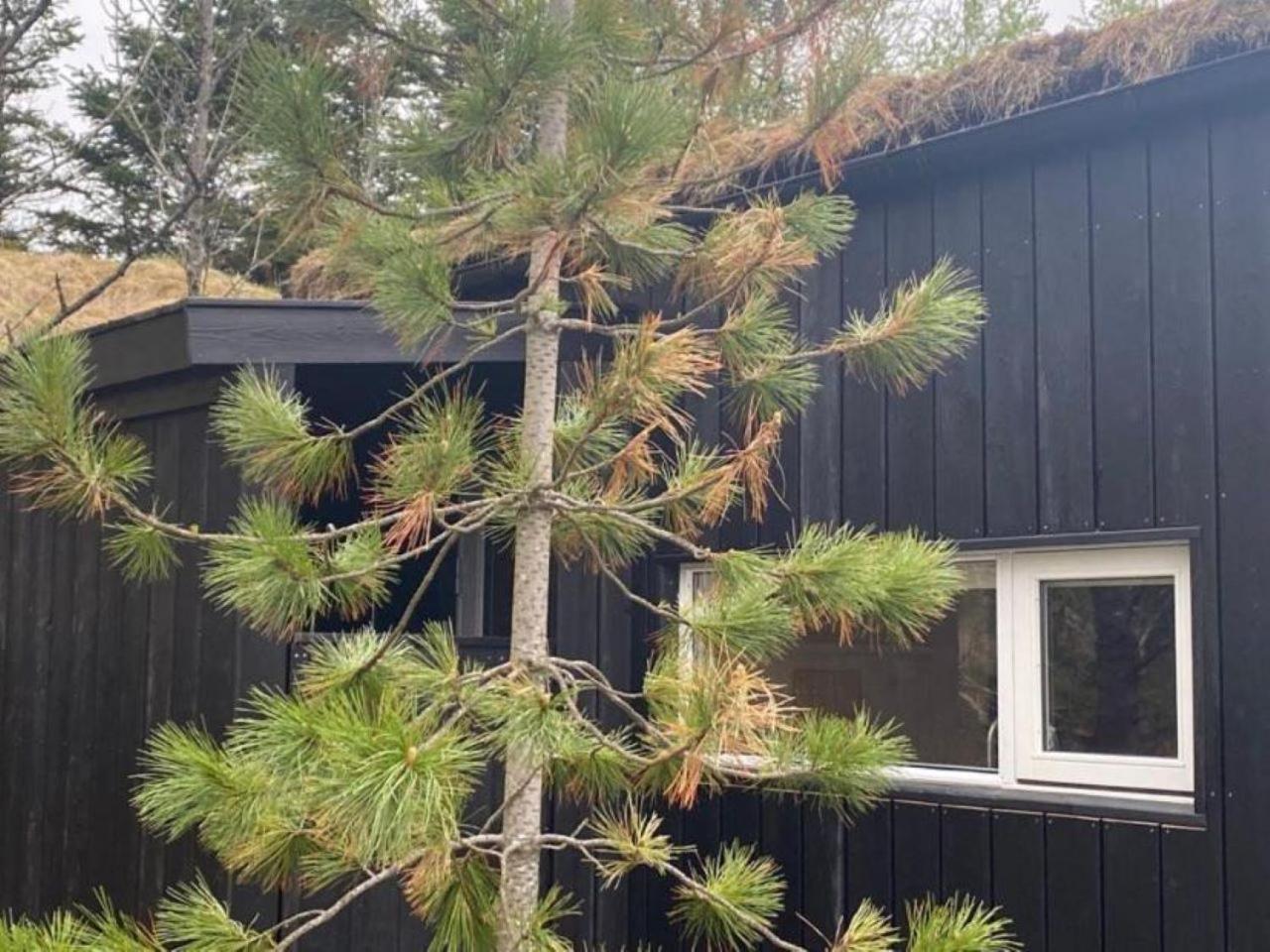 Appartement Audkula Dome